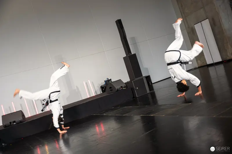 Martial Artists Perform Dynamic Taekwondo Acrobatics at Vienna ComicCon 2025