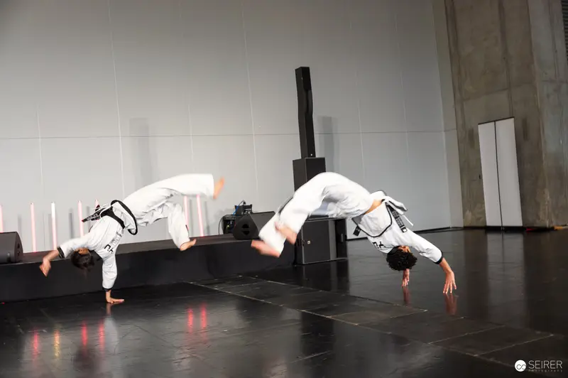 Taekwondo Athletes Perform Dynamic Acrobatic Moves at Vienna ComicCon 2025