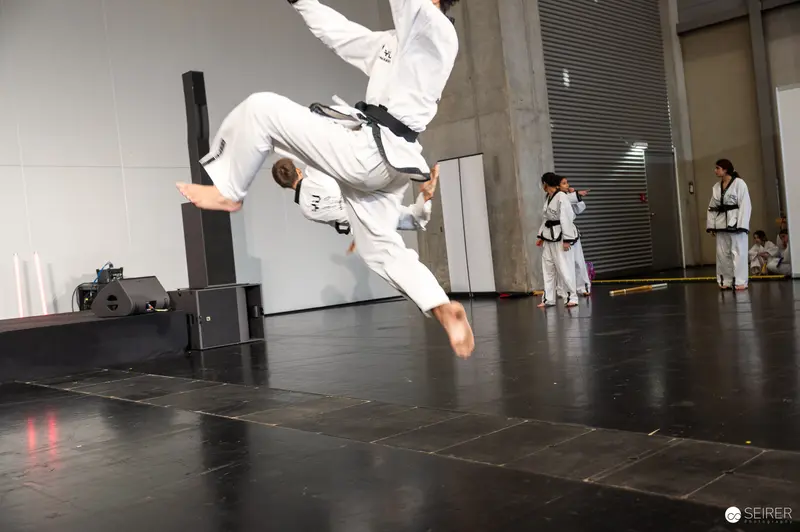Dynamic Taekwondo Flying Kick at Vienna ComicCon 2025 Martial Arts Performance