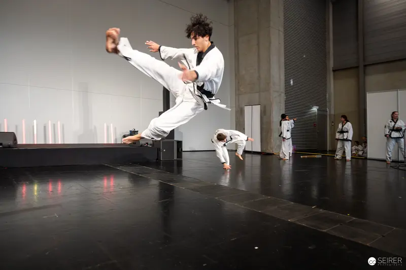 High-Flying Taekwondo Kick at Vienna ComicCon 2025 Martial Arts Performance