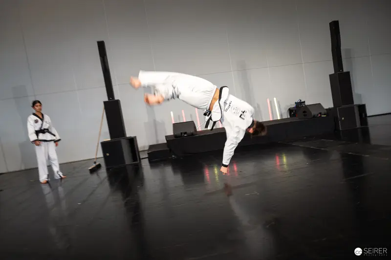 Taekwondo Martial Artist Performing Dynamic Aerial Kick at Vienna ComicCon 2025