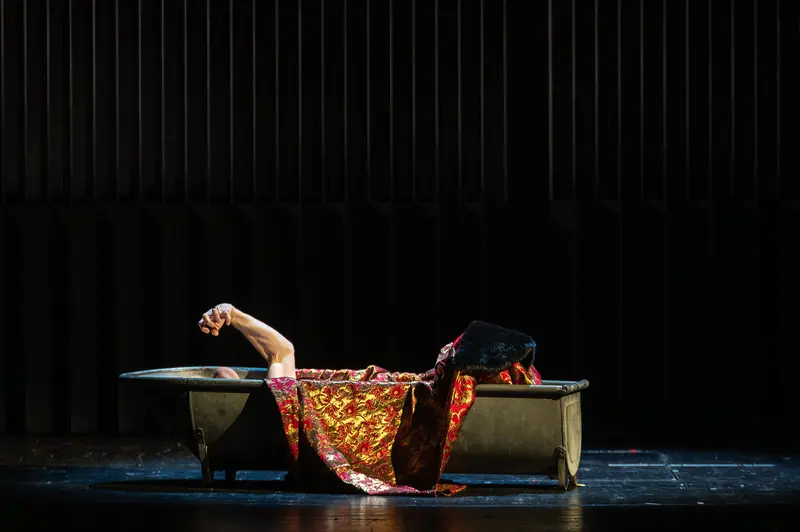 Hamlet Performance at Theater in der Josefstadt: Dramatic Stage Pose