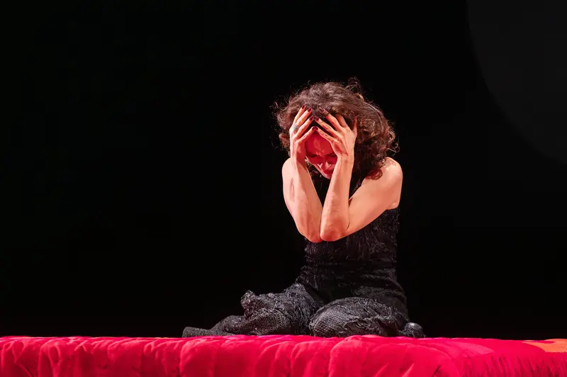 Hamlet Production at Theater in der Josefstadt: Expressive Performer on Red Stage