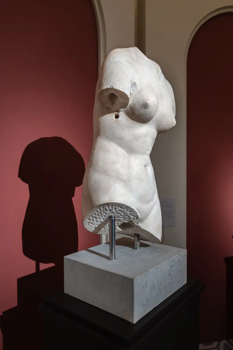 Classical Torso Sculpture with Architectural Installation Display