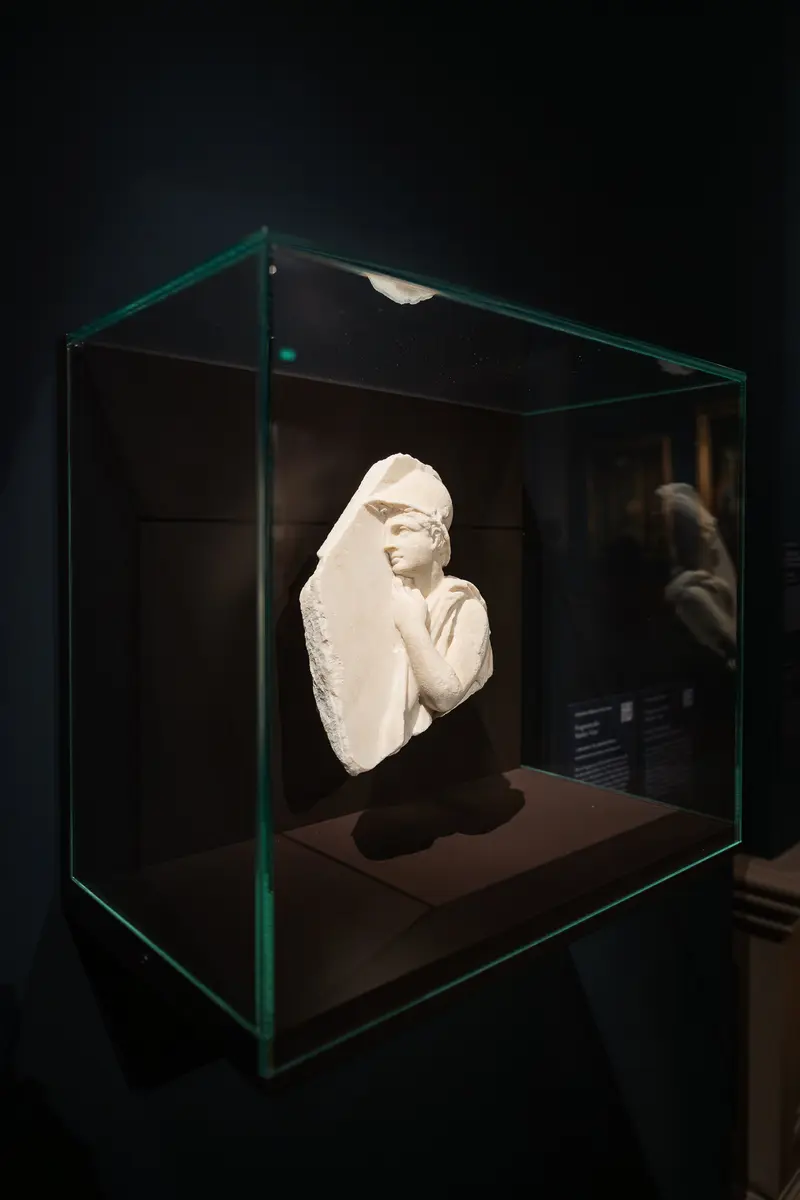 Classical Marble Bust in Museum Display Case with Lighting