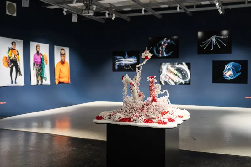 Contemporary Art Exhibition with Fashion Photography and Mixed-Media Sculpture Installation