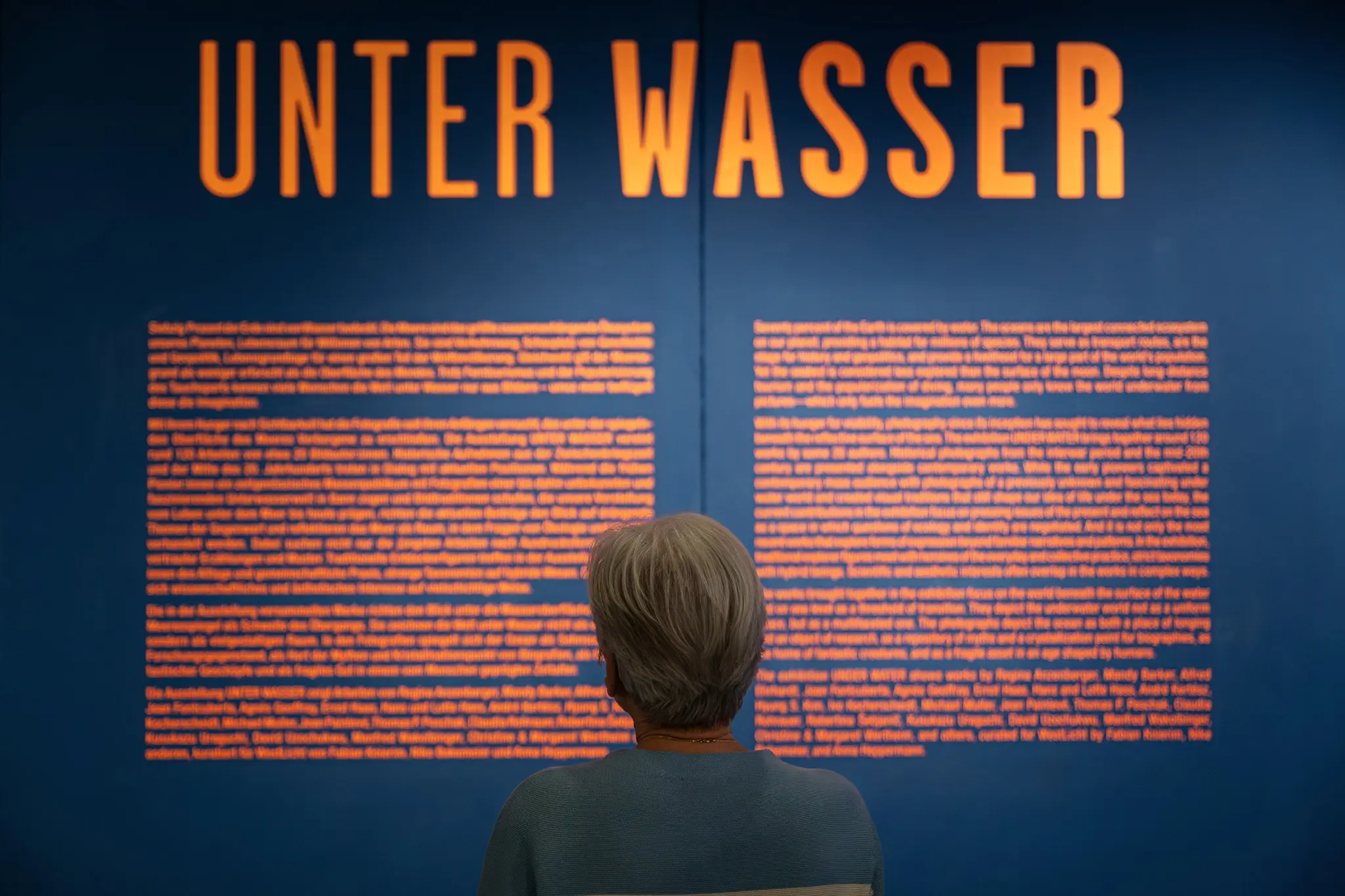Visitor Viewing "Unter Wasser" Exhibition Text Panels