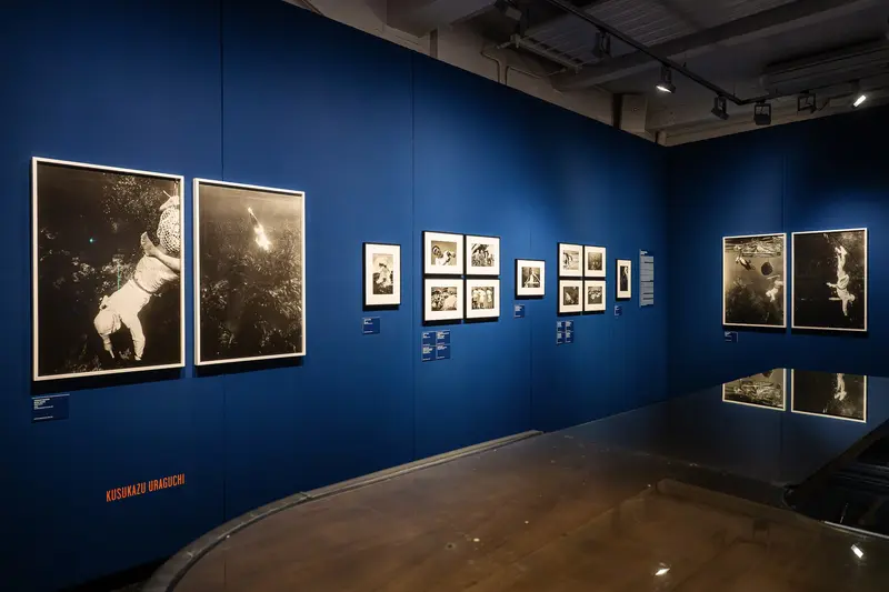 Exhibition Gallery with Sepia-Toned Photographs on Deep Blue Walls
