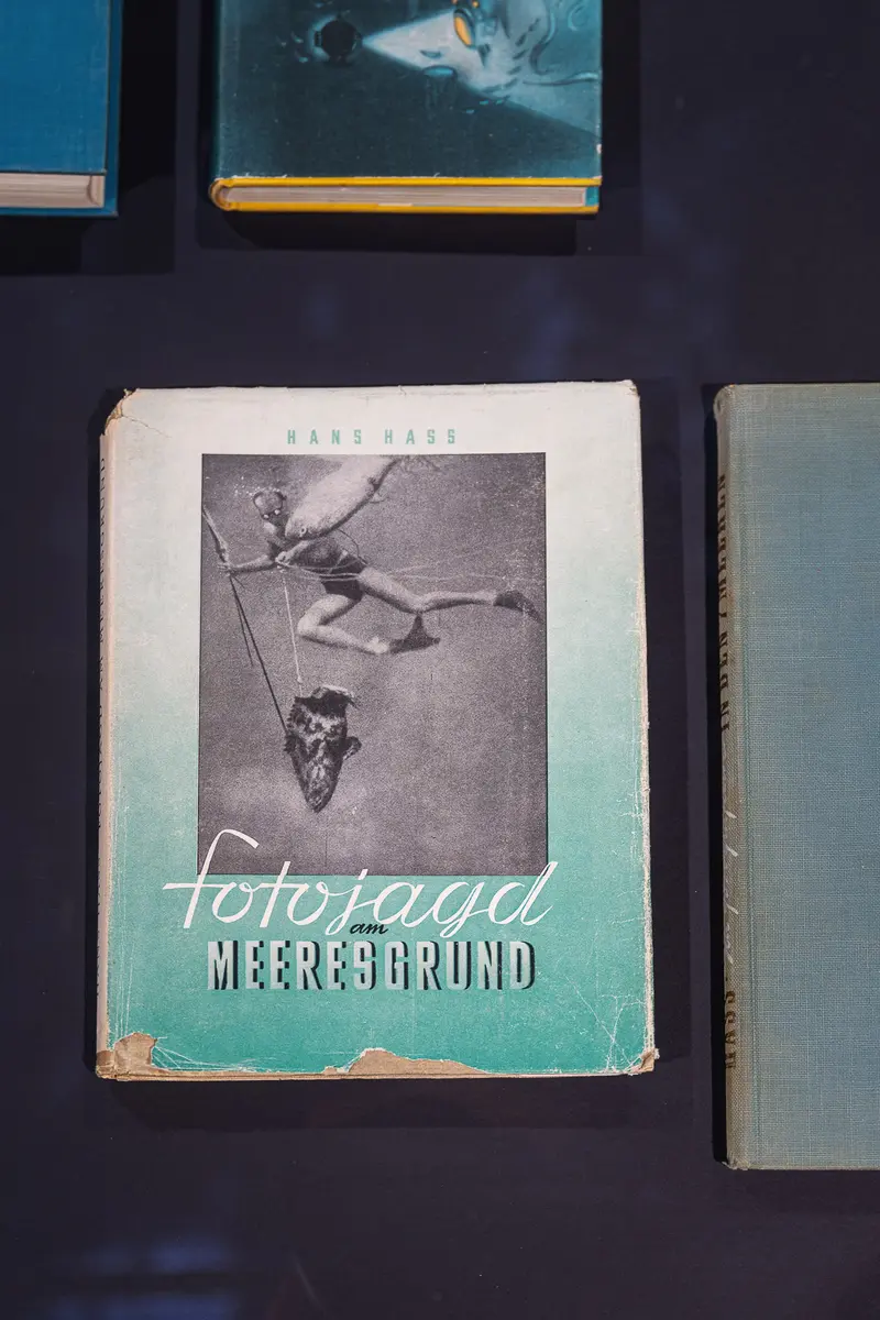 Fotograf Messerscharfe Book Display on Dark Shelf