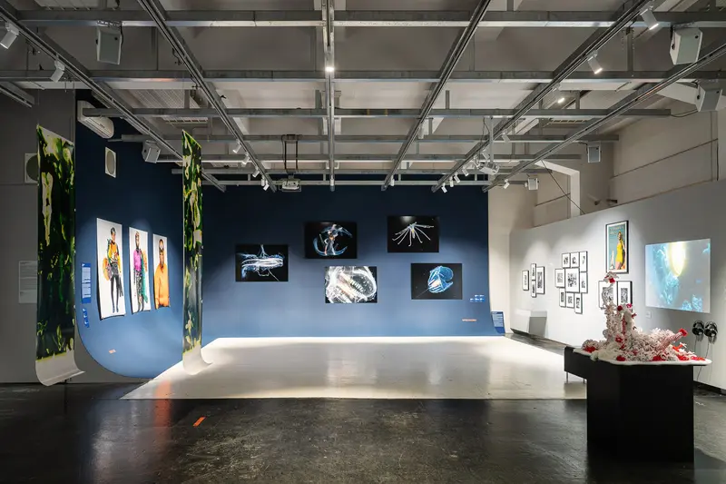 Contemporary Art Gallery Exhibition with Mixed Media Installations and Sculptures