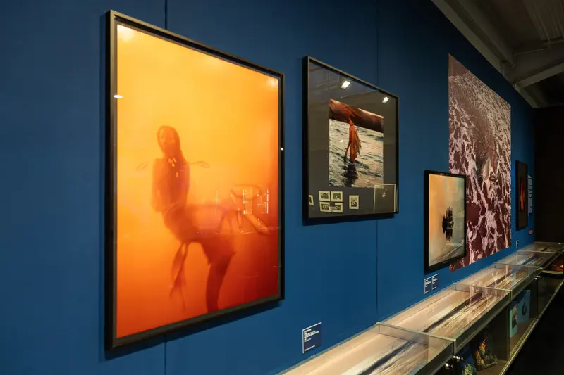 Gallery Exhibition Display with Illuminated Orange Portrait and Framed Photography