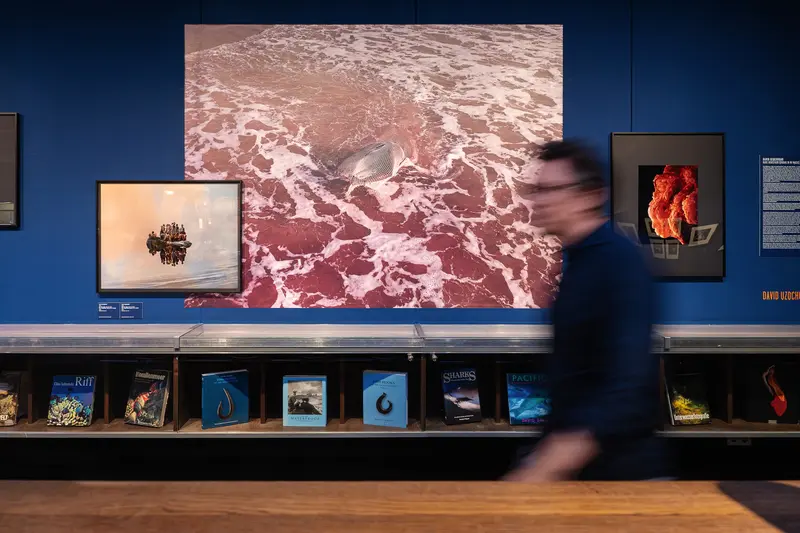 Museum Exhibition Display with Aerial Landscape Photography and Visitor