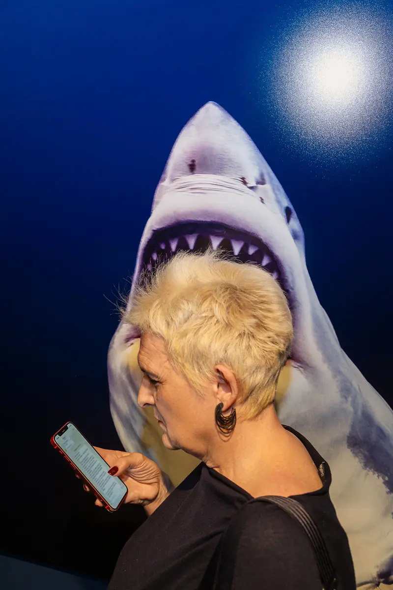 Visitor With Shark Costume Photo Prop at Museum Exhibition
