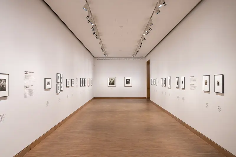 Contemporary Photography Exhibition at Albertina Modern, Vienna