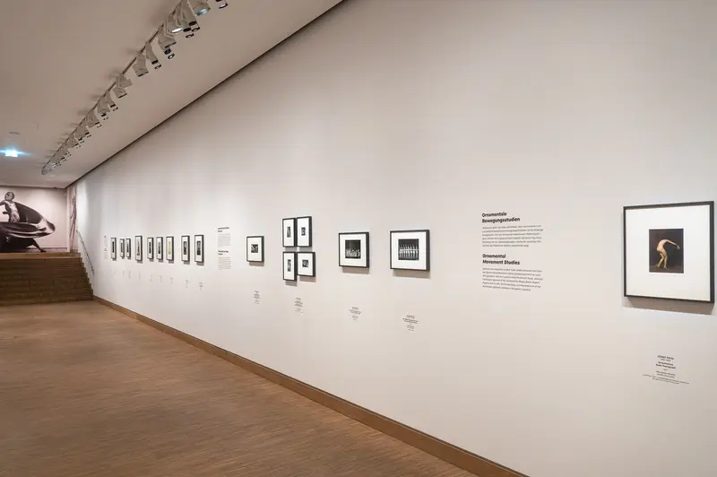 A contemporary art gallery exhibition features a curated collection of framed photographs and artworks arranged along a white wall, with descriptive text panels and individual piece labels visible throughout the installation. The wooden floor and track lighting system create a professional museum environment designed for viewing prints and photographic works. The systematic presentation and documentation reflect institutional curatorial standards for photography exhibitions in modern art venues.