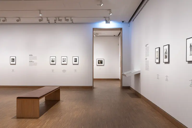 Tanzbild Exhibition Gallery Interior, Albertina Modern Vienna April 2026