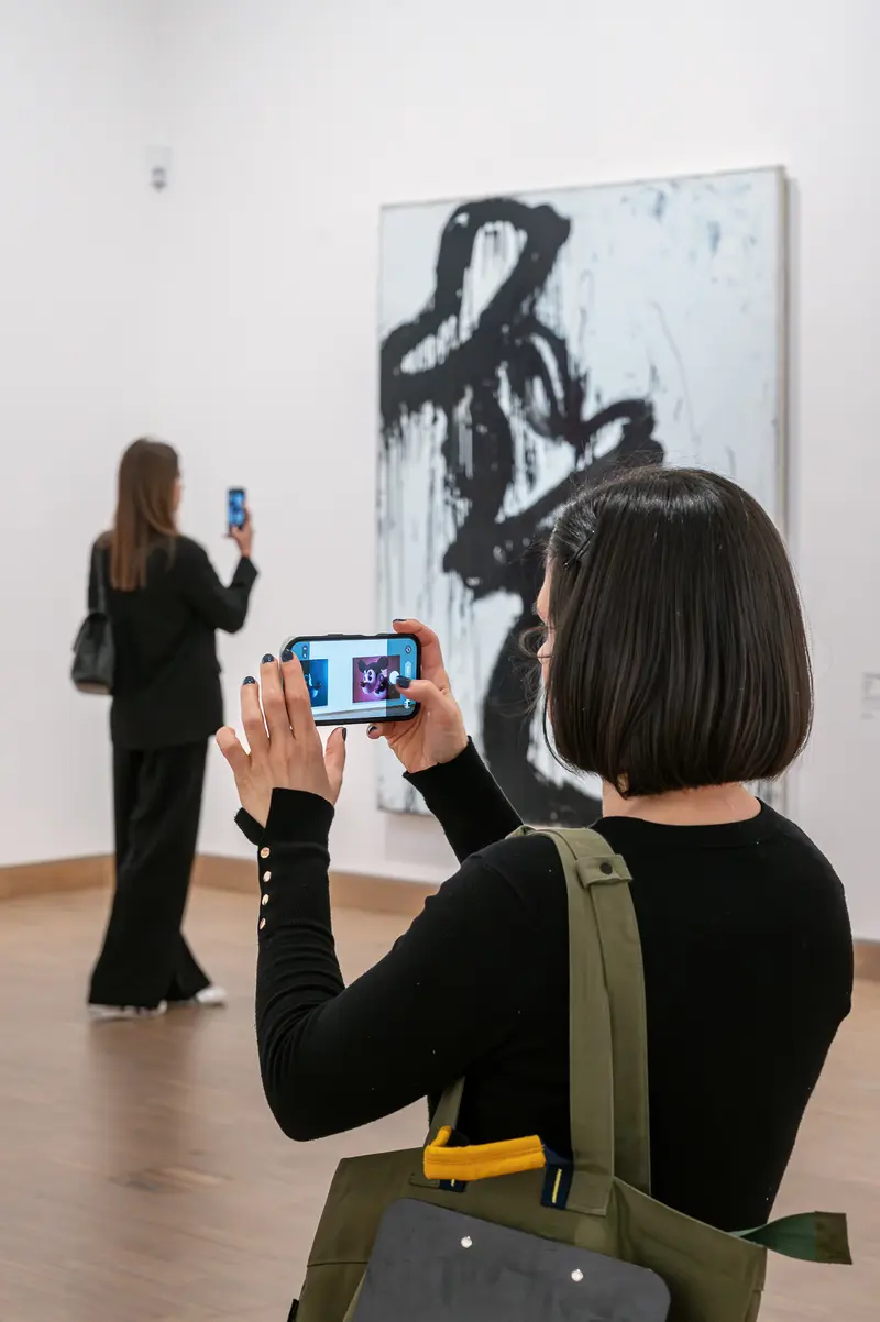 Visitors Photographing Artwork at KAWS. Art & Comix Exhibition at Albertina Modern