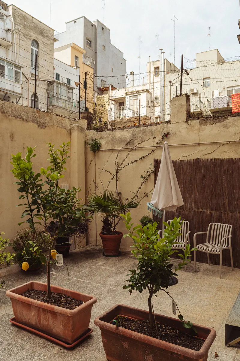 Urban Courtyard Garden with Potted Trees and Residential Buildings