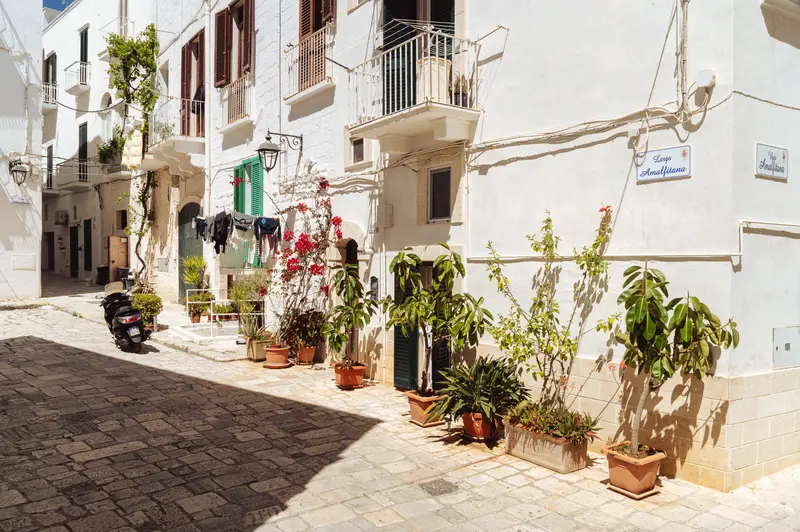 Whitewashed Mediterranean Street with Potted Plants and Historic Architecture