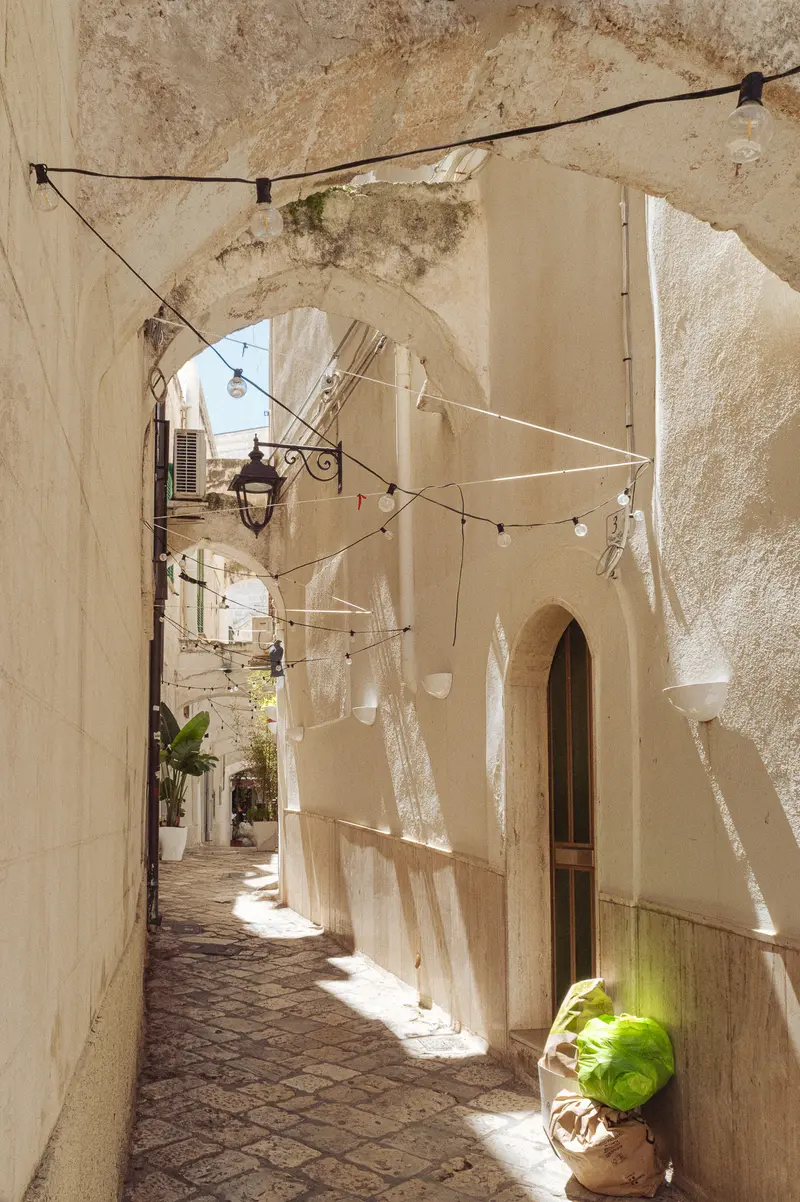 Narrow Mediterranean Alleyway with Whitewashed Walls and Potted Plants