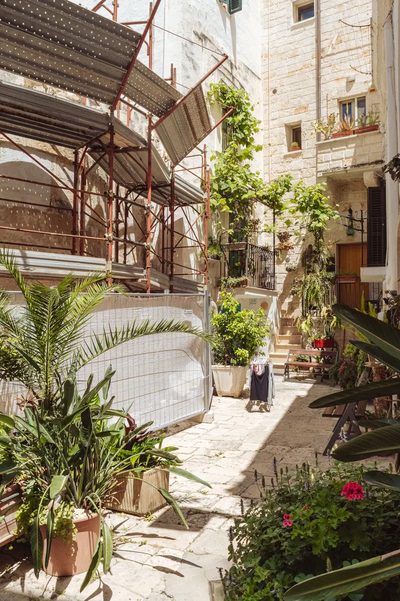 Courtyard Garden with Ivy-Covered Structures and Mediterranean Plants