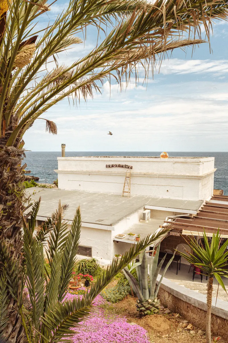 Coastal Residential Building with Palm Trees and Flowering Landscape