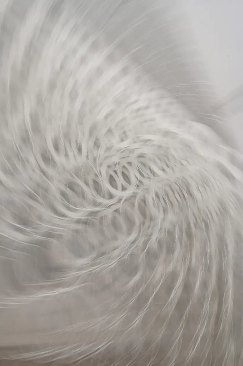 Abstract Spiral Pattern in Monochrome Motion