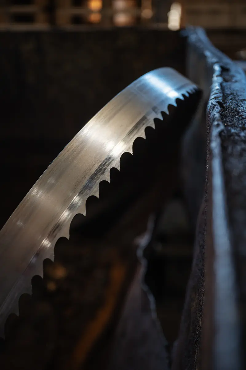 Band Saw Blade Detail on Automated Saw Line at Frankstahl Guntramsdorf