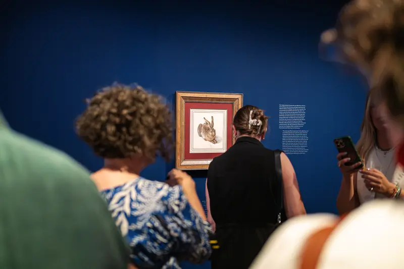 Museum Visitors Viewing Dürer's Young Hare in Exhibition Gallery
