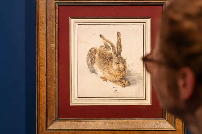 Visitor Viewing Albrecht Dürer's Young Hare Drawing at Exhibition