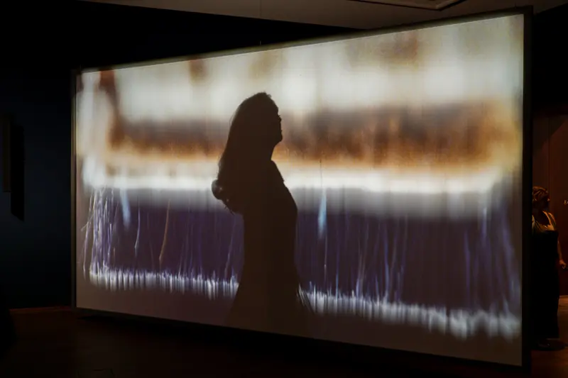 Dancer Silhouette Against Video Projection Screen at Albertina Modern