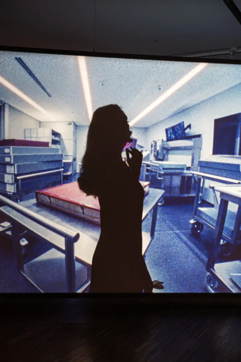 Silhouetted Visitor Standing Before Large Video Projection in Gallery