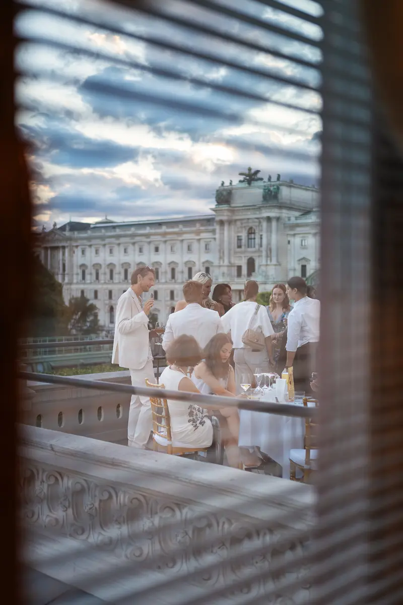 Rooftop Reception with Hofburg Palace in Background, Vienna