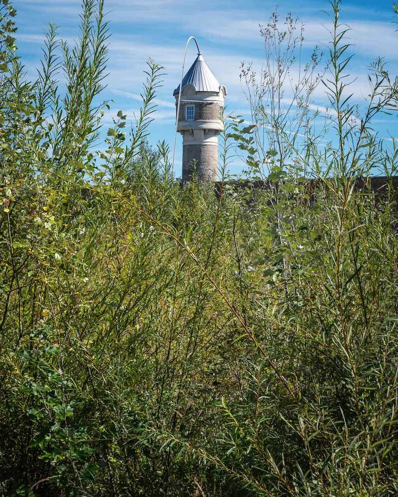 Glanzstoff water tower rising above overgrown factory grounds, Open House 2026, St. Pölten